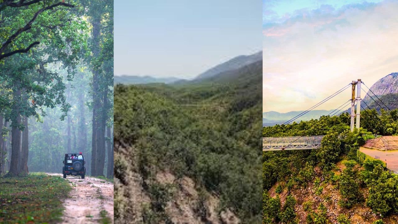 एक ही टिकट पर राजगीर में परिवार के साथ ले सकेंगे जू, ग्लास ब्रिज के साथ ही अन्य एडवेंचर का भी आनंद, दिन भर में...