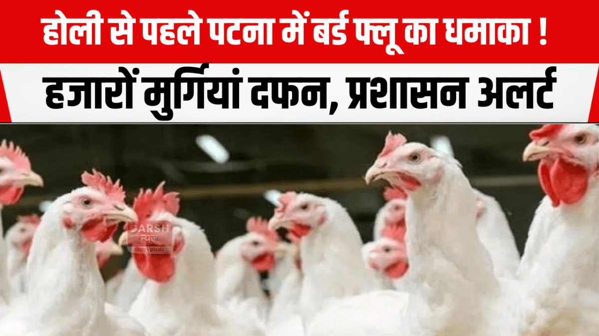 होली से पहले पटना में बर्ड फ्लू का धमाका! हजारों मुर्गियां दफन, प्रशासन अलर्ट