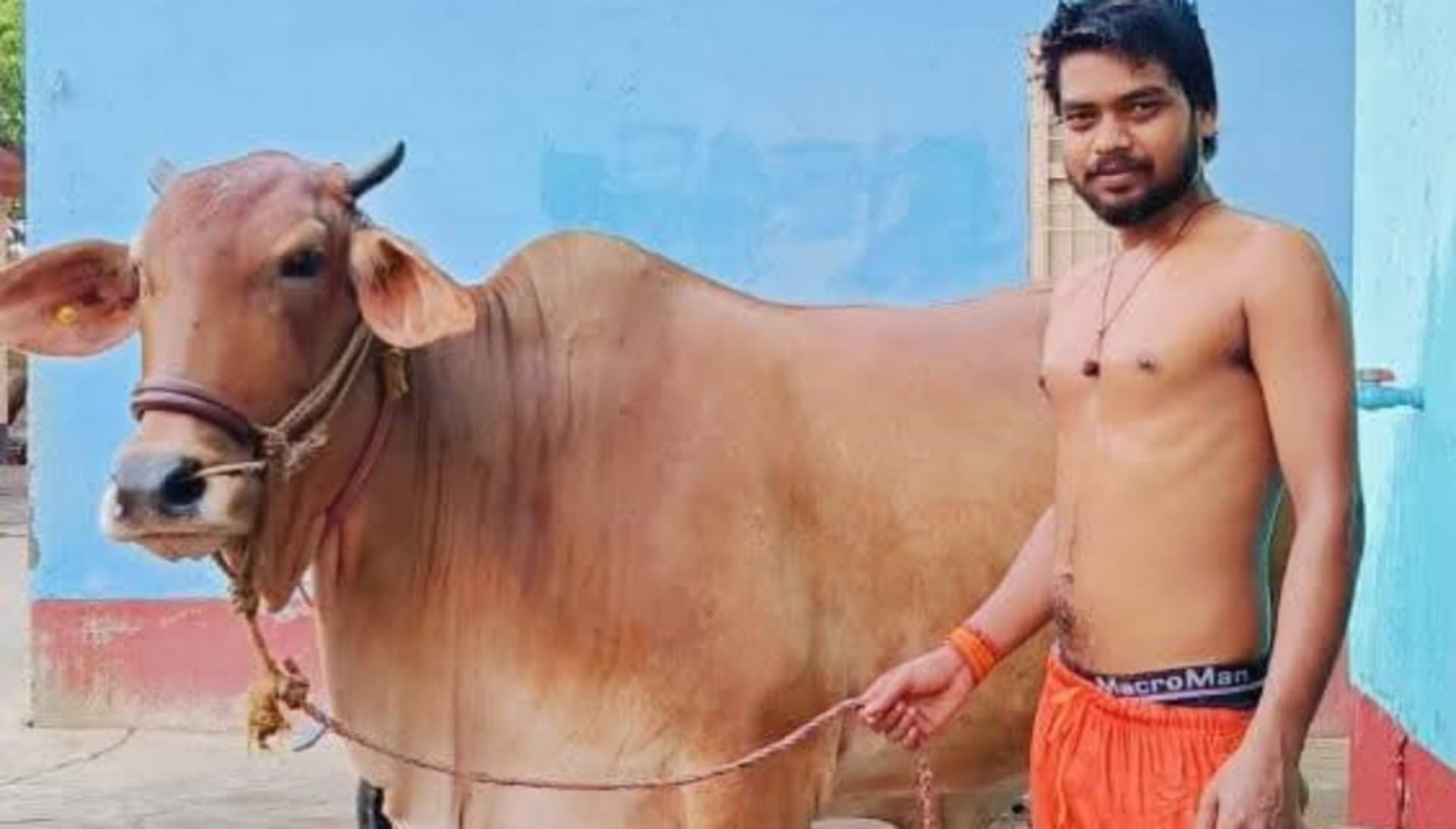 पटना के फतुहा में डबल चोरी, कहीं आभूषण और नगदी तो कहीं लाखों की गाय..