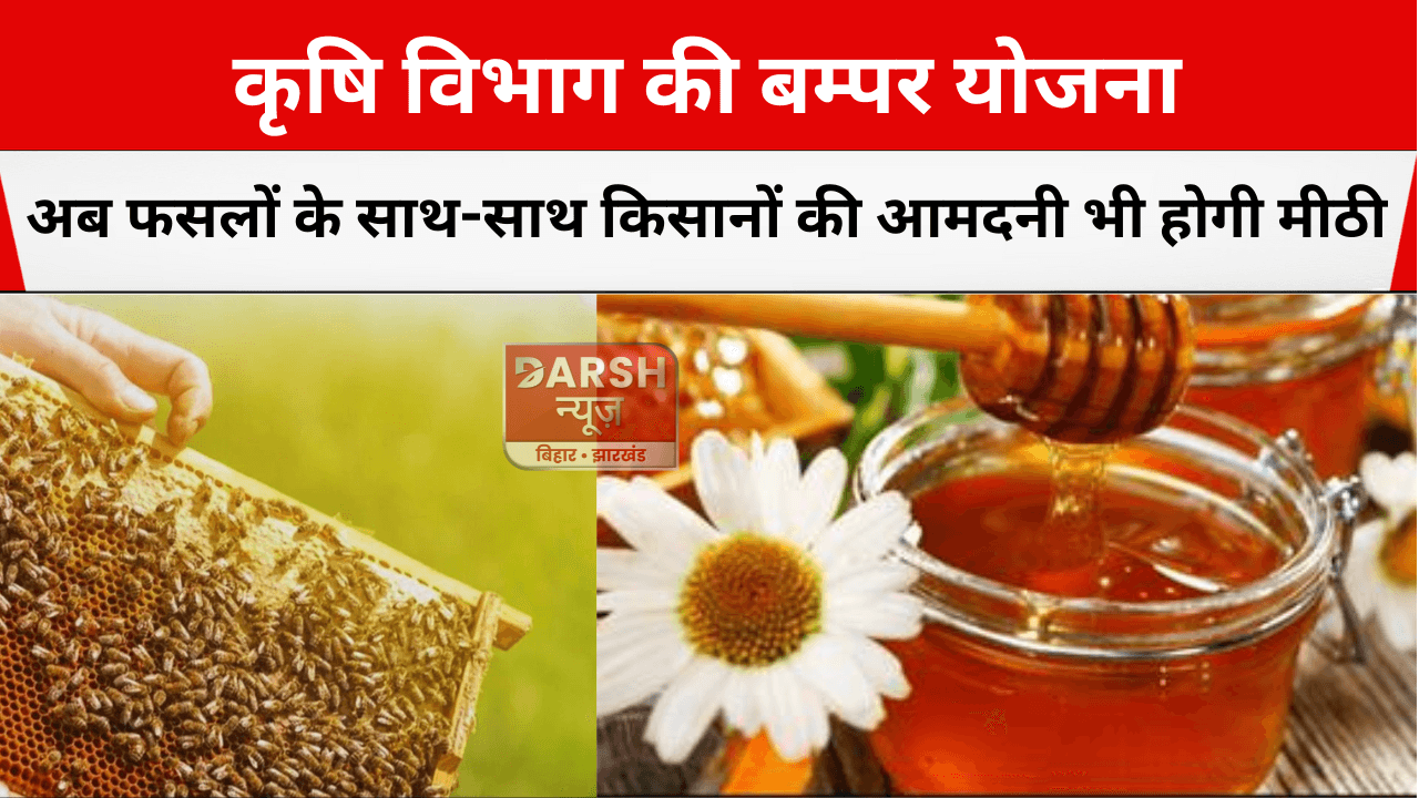 कृषि विभाग की बम्पर योजना: अब फसलों के साथ-साथ किसानों की आमदनी भी होगी मीठी