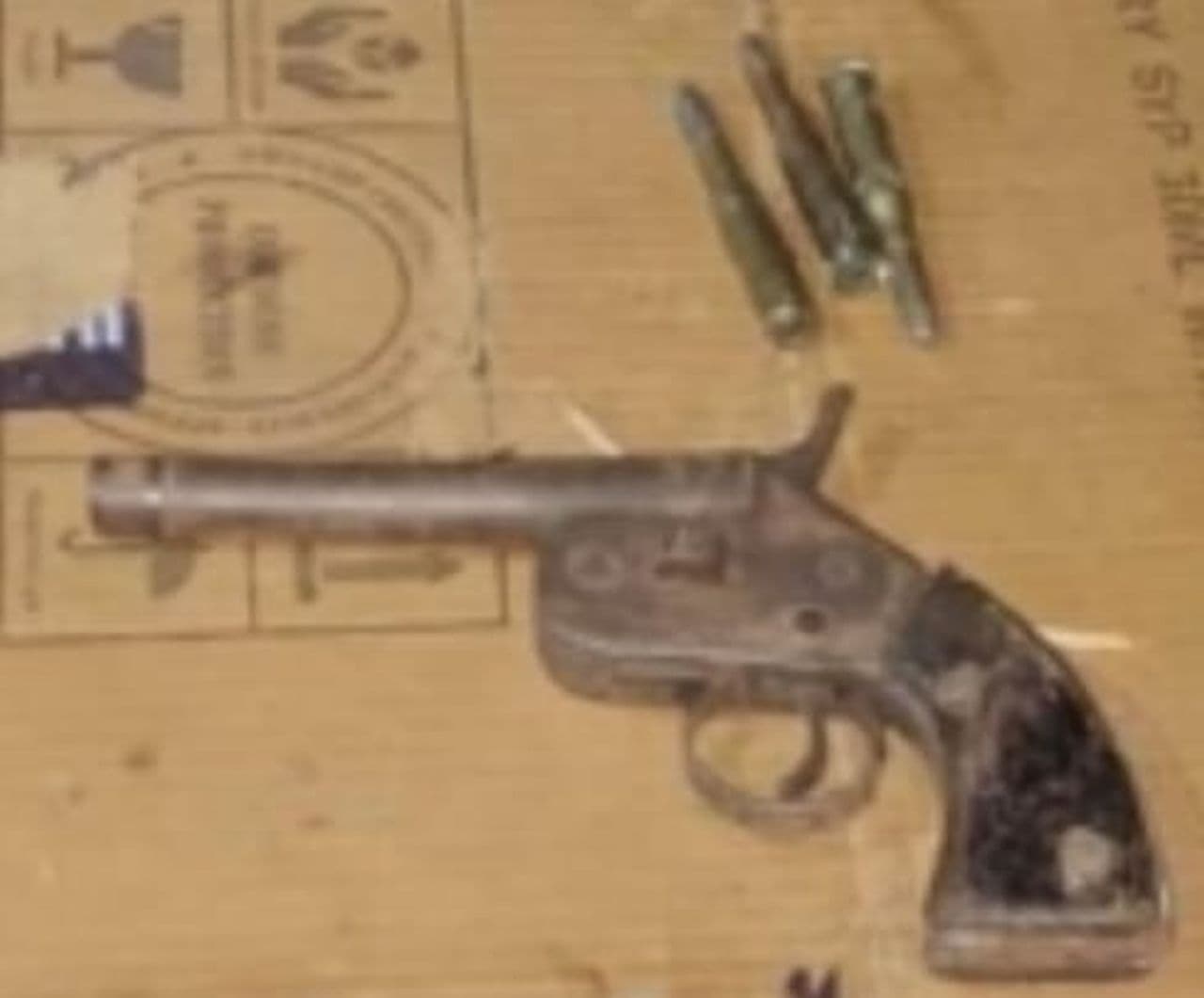 मनेर में छापेमारी, दिलीप कुमार की गुप्त हत्या योजना फेल!