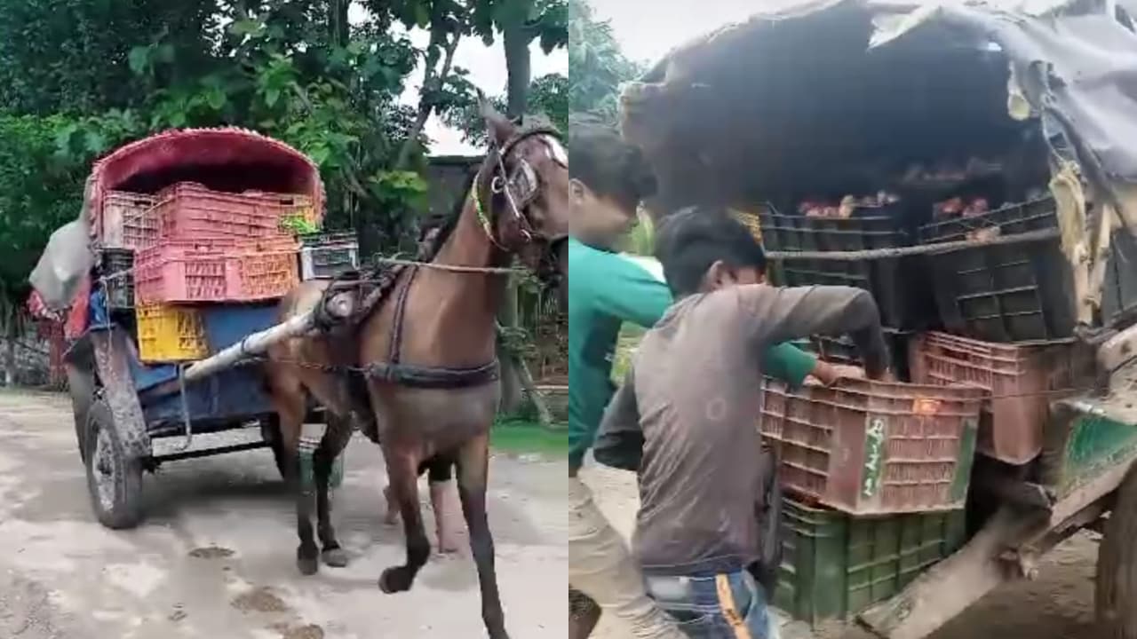 टमटम से टमाटर की तस्करी, नेपाल से सीधे पहुंच रहा रक्सौल