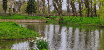 हरियाली और जल संचय के तहत पटना के 40 पार्कों में बनाए जाएंगे तालाब