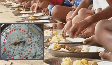 दरभंगा के स्कूल में मिड डे मील खाने से 30 बच्चे बीमार, छिपकली मिलने की आशंका...