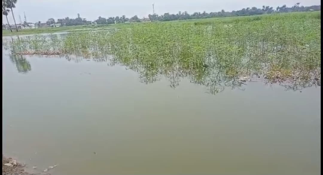 एक तरफ बिहार में भीषण गर्मी, दूसरी ओर दरभंगा के खेतों में नदी का पानी घुसा..