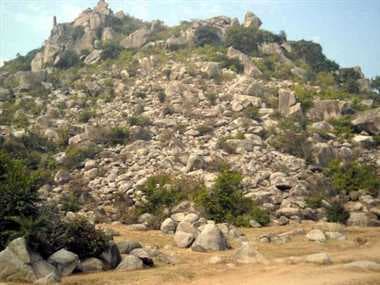 मगध क्षेत्र के नंगे पहाड़ पर होगा वृक्षारोपण, मंत्री प्रेम कुमार की घोषणा