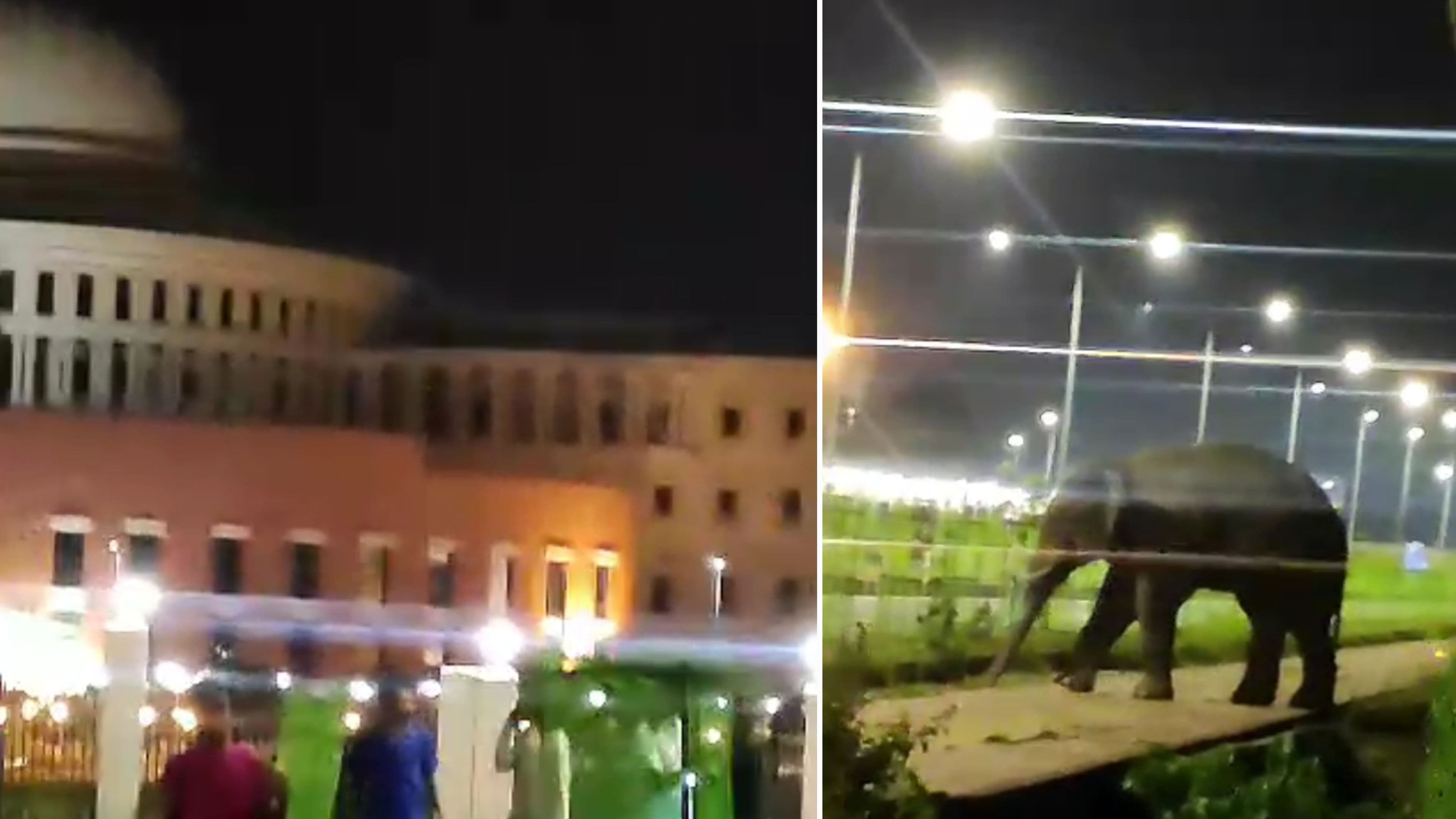 जब झारखंड विधानसभा के पास आधी रात को पहुंच गया जंगली हाथी..