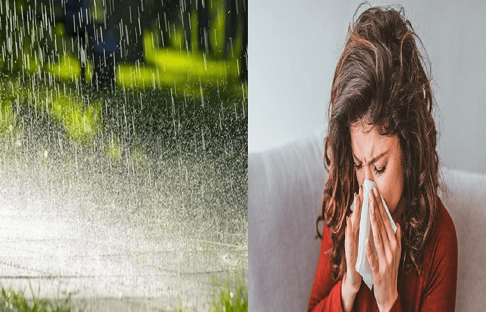 Monsoon Diseases: मानसून बारिश दे रही बीमारियों को दस्तक, इस बात का रखें ख्याल, ये करने से पहले करें ये काम