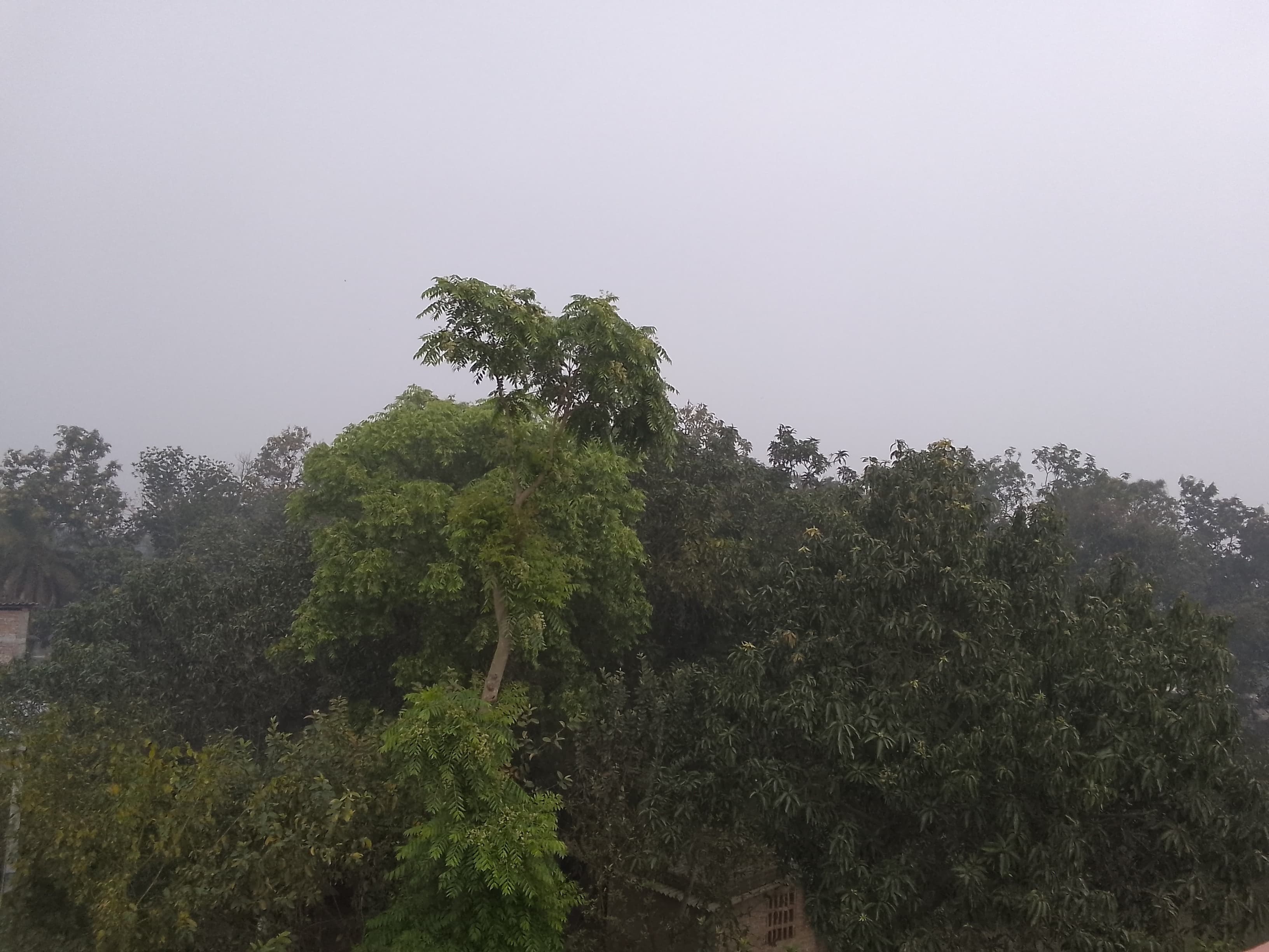 बिहार में बदला मौसम, पटना समेत कई जिलों में हल्की बारिश से बढ़ी ठंड..