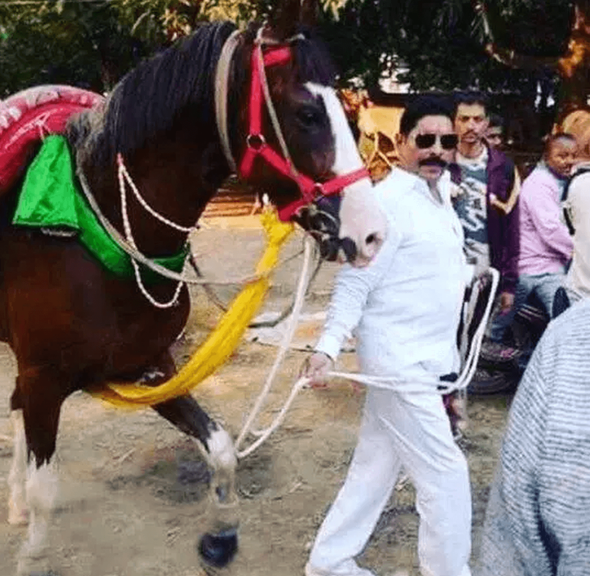 जेल से निकले और फिर वही अंदाज! अनंत सिंह का घोड़े वाला वीडियो क्यों बना चर्चा का कारण?