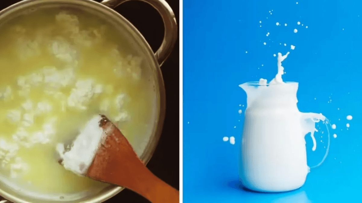गर्मी में बार-बार फट रहा दूध? जानिए ऐसा जुगाड़, जिसे जान आप भी कहेंगे—पहले क्यों नहीं बताया!