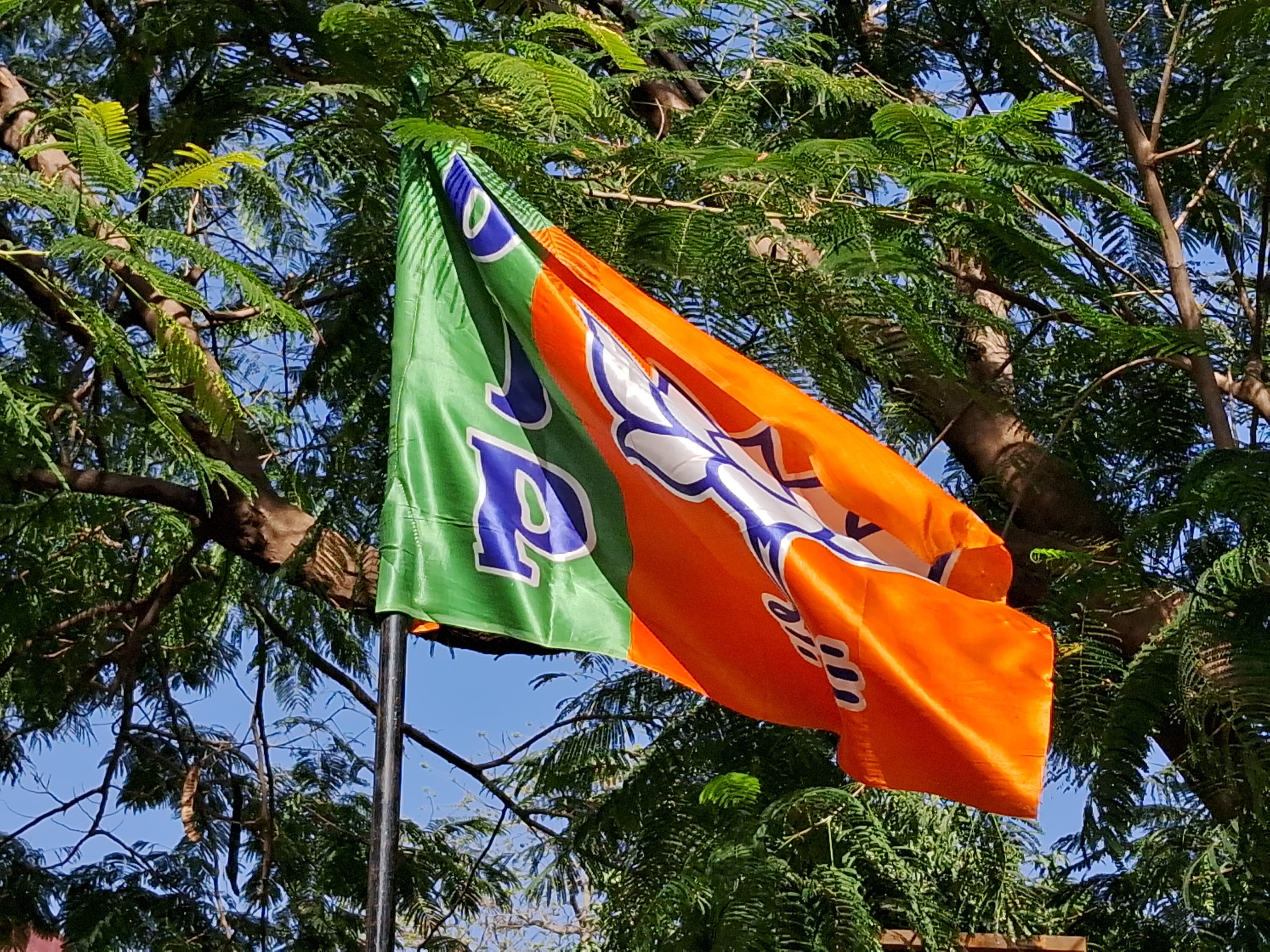 झारखंड मे उत्तराखंड के मुख्यमंत्री और उत्तरप्रदेश के उप मुख्यमंत्री जनसभा को संबोधित करेंगे....