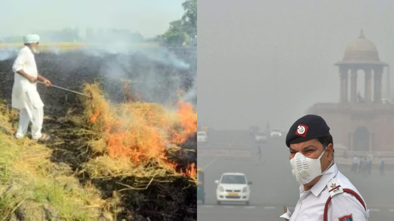 पंजाब में सिर्फ एक दिन में 3230 जगहों पर जली पराली, दिल्ली NCR की हालत खराब