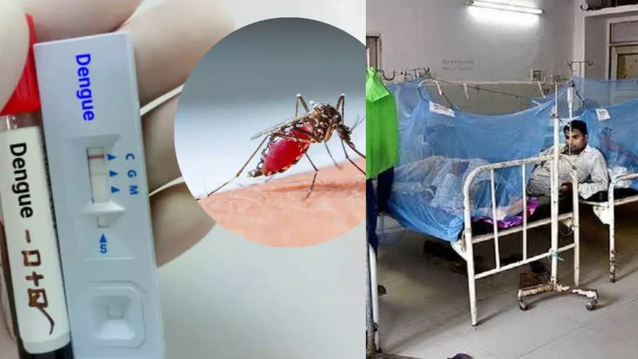 डरा रहे हैं डेंगू के मरीजों के आंकड़े, पटना-भागलपुर में नहीं थम रही रफ्तार