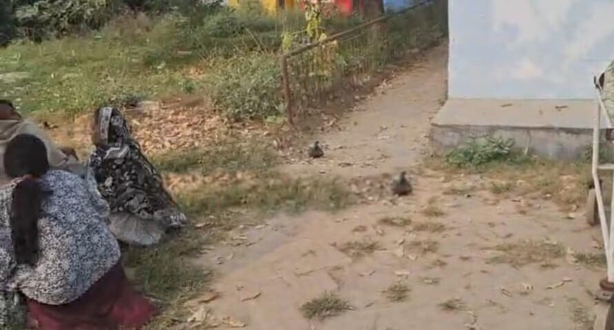 सारण में घर जा रहे युवक की गोलीमार हत्या..