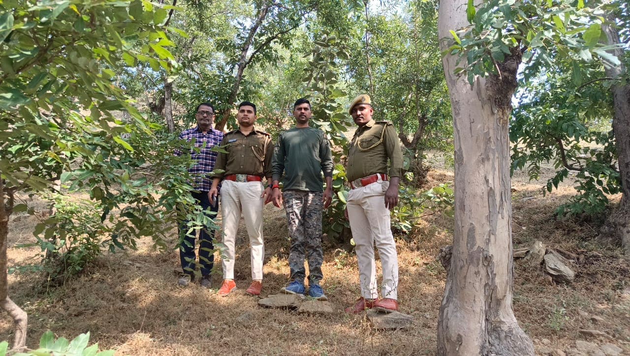 गया में पगलाए सियार का आतंक, कई लोगों को काट कर किया जख्मी..