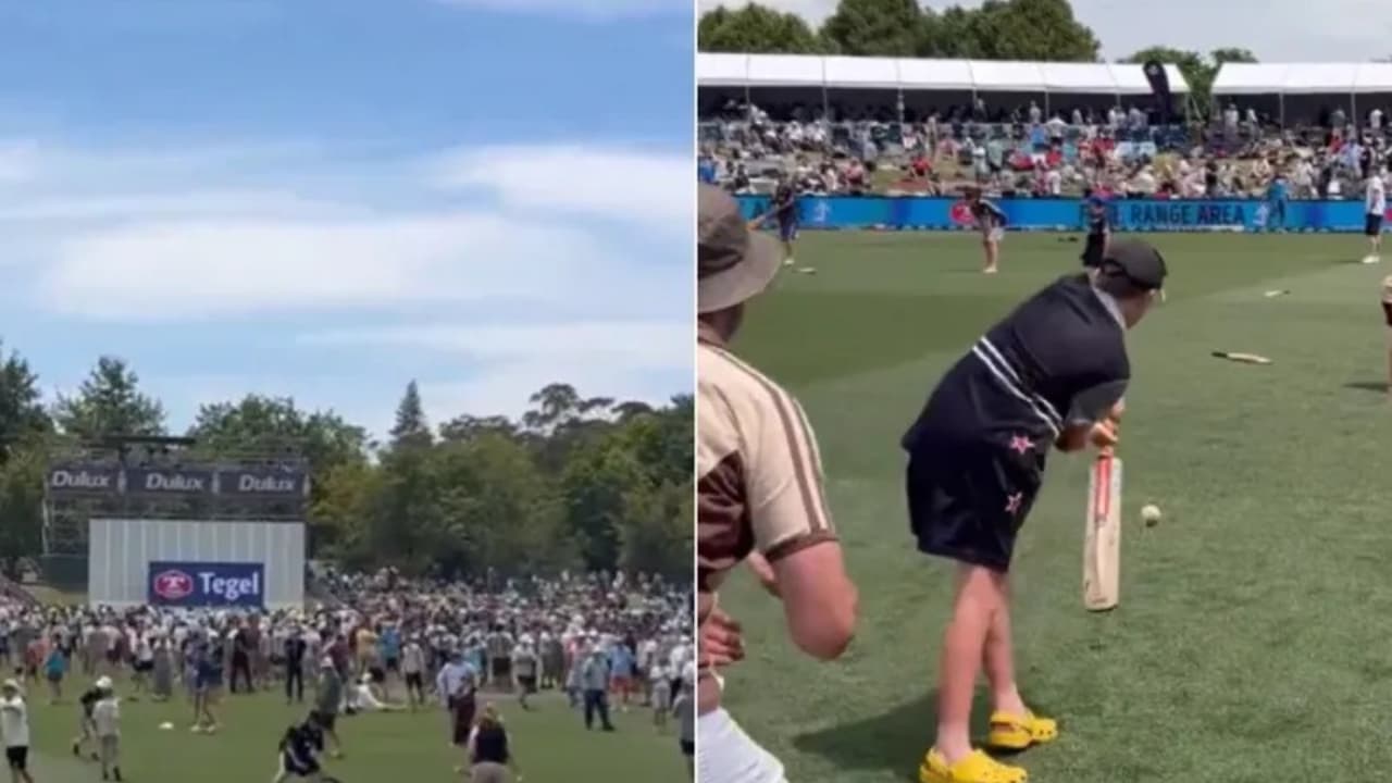 न्यूजीलैंड में क्रिकेट के मैदान का अजब-गजब नजारा, सोशल मीडिया पर वीडियो वायरल