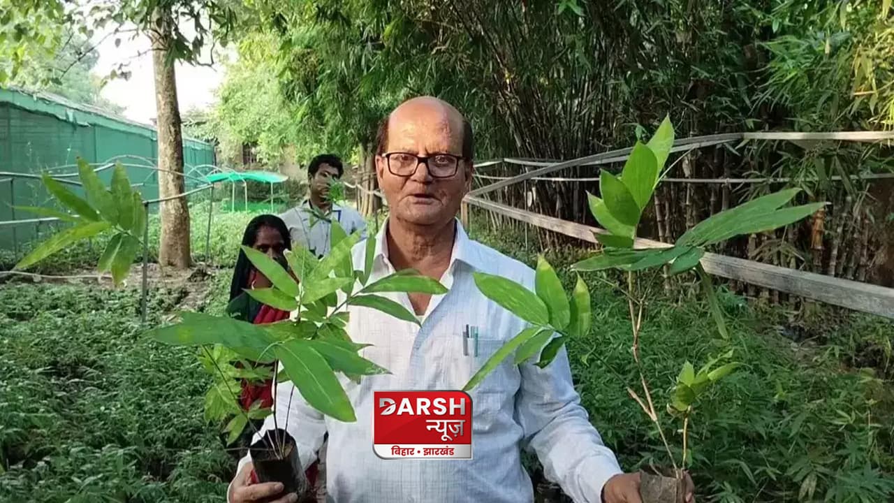 बिहार में हो रही मीठे बांस की खेती, चमकने वाली है राज्य के किसानों की किस्मत