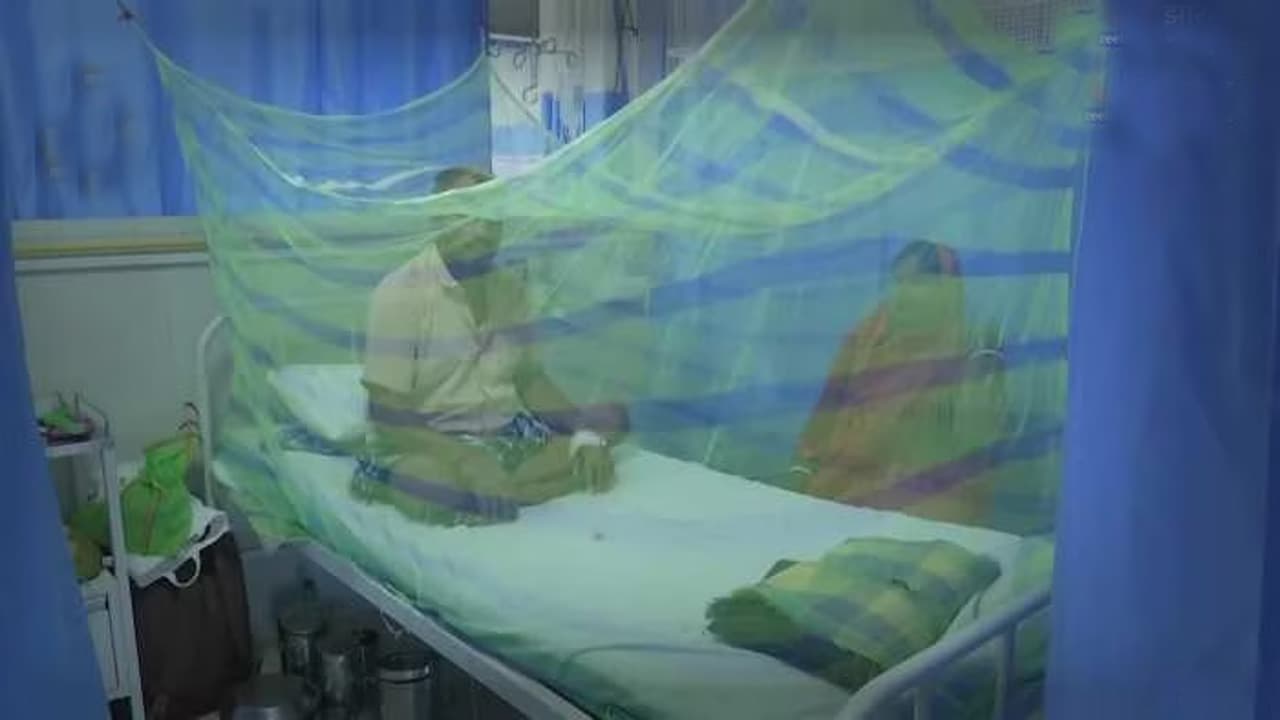 पटना में डेंगू के मामले बढ़ते ही अस्पतालों में डेंगू मरीजों के लिए स्वास्थ्य विभाग बना रहा अलग वार्ड, देखें रिपोर्ट