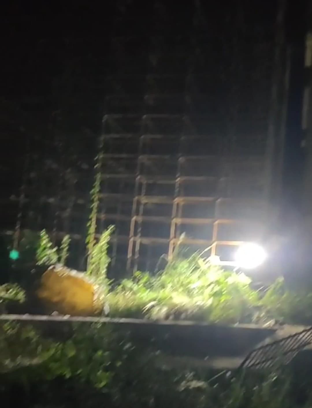 बिहार में फिर पूल हादसा सत्ता पक्ष और विपक्ष आमने सामने